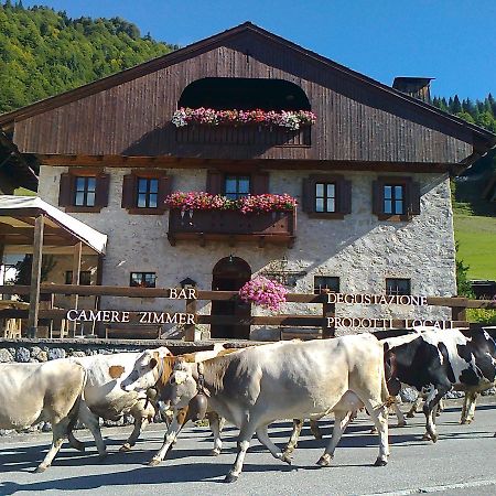 Albergo Pa' Krhaizar Sauris Luaran gambar